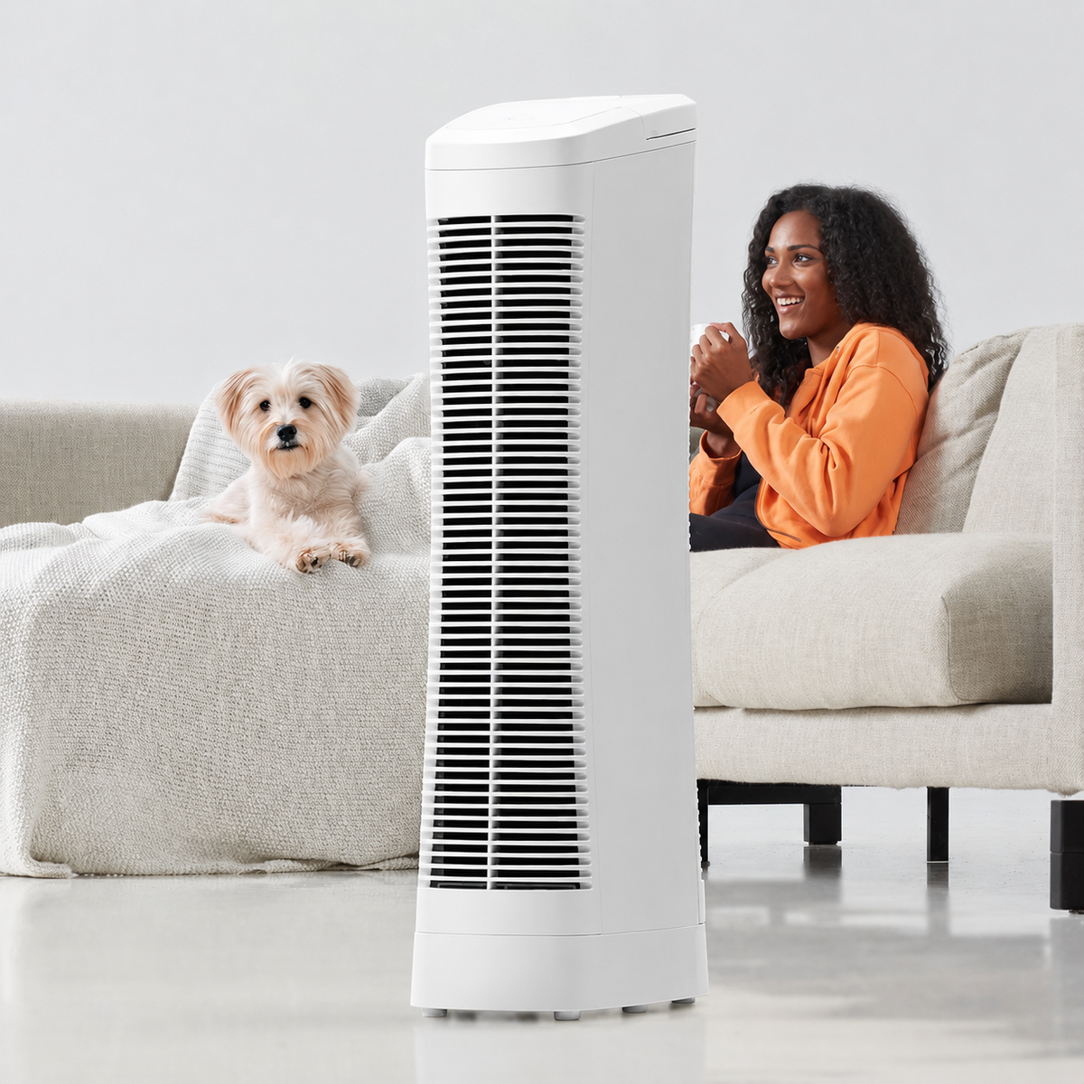 Ionic Air Purifier Quiet Fan