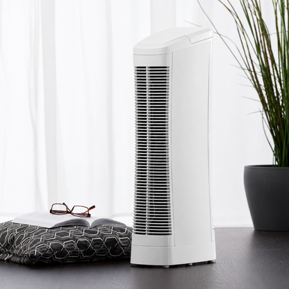 Ionic Air Purifier Quiet Fan