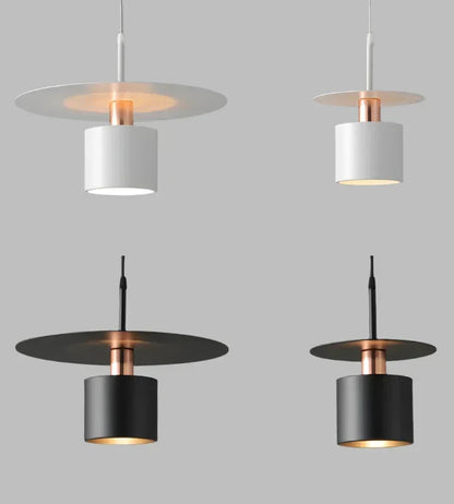 Modern Minimalist Pendant Ceiling Lamp