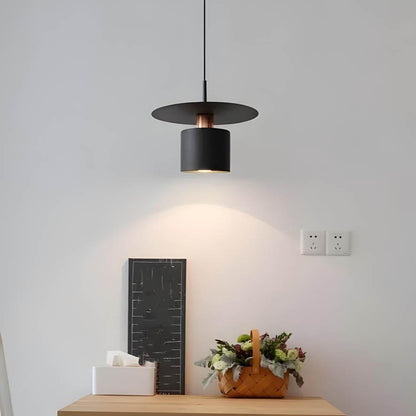 Modern Minimalist Pendant Ceiling Lamp
