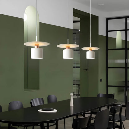 Modern Minimalist Pendant Ceiling Lamp