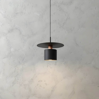 Modern Minimalist Pendant Ceiling Lamp