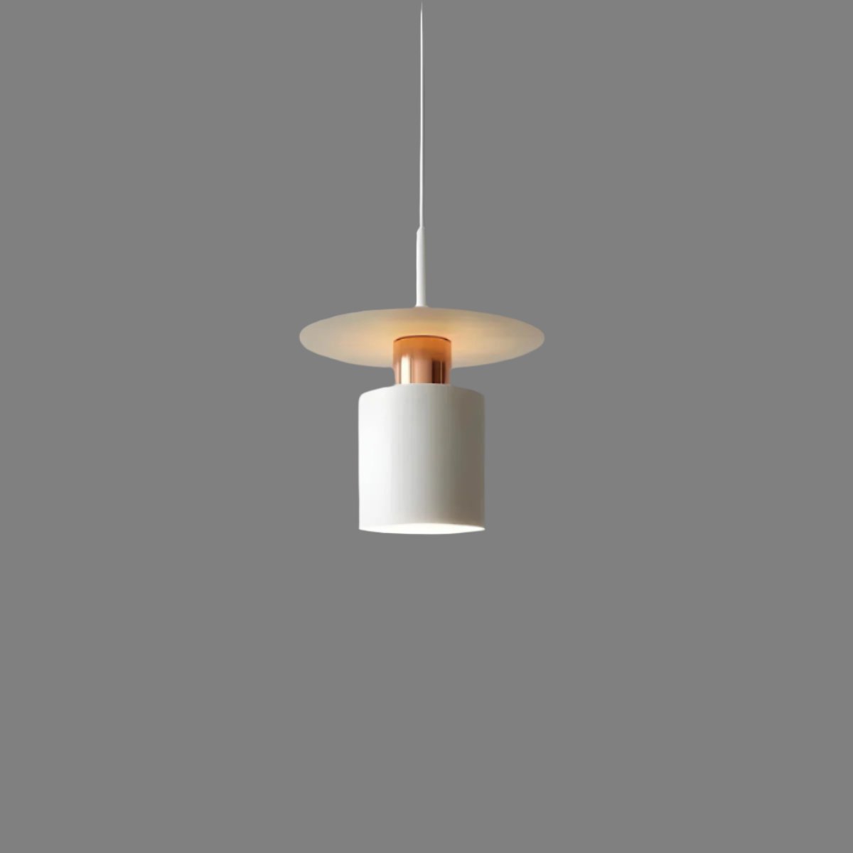 Modern Minimalist Pendant Ceiling Lamp