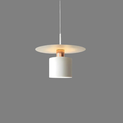 Modern Minimalist Pendant Ceiling Lamp