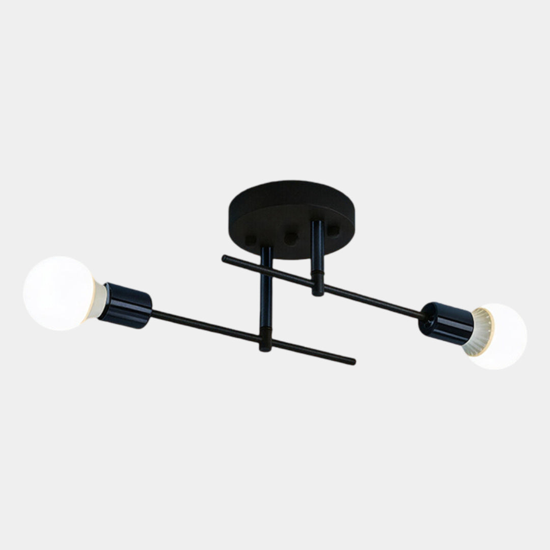Modern 2-Light Black & Gold Ceiling Lamp