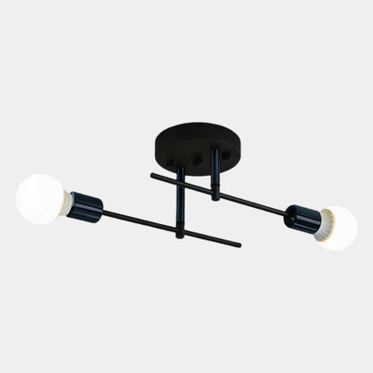 Modern 2-Light Black & Gold Ceiling Lamp