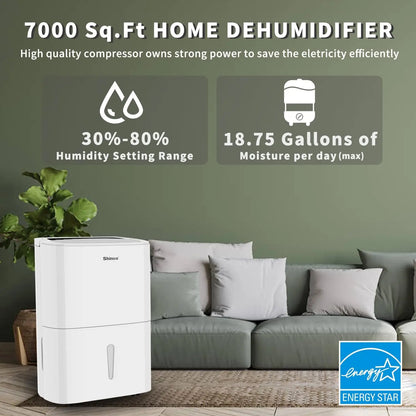 Dehumidifier in a basement space
