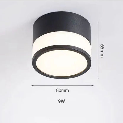 Surface Mounted LED Downlight