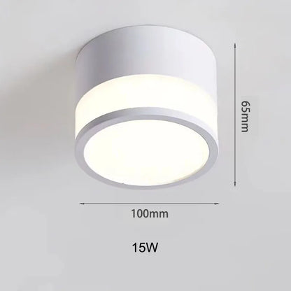 Surface Mounted LED Downlight