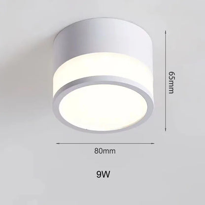 Surface Mounted LED Downlight