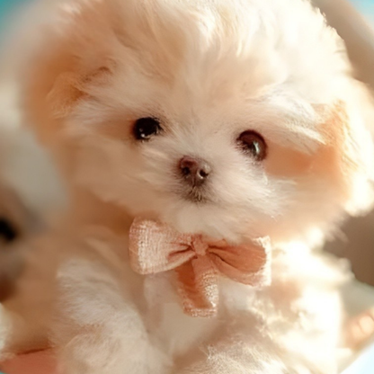 Interactive Plush Moving Puppy Toy