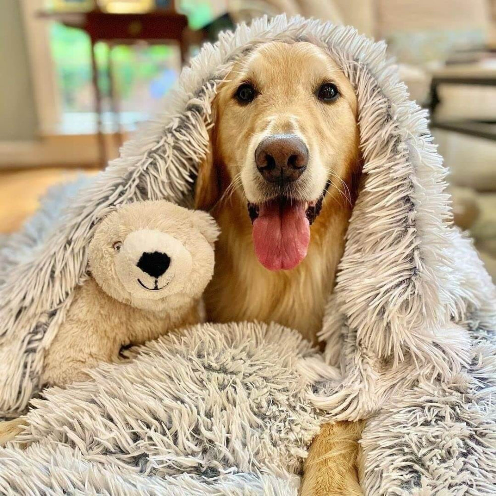 Fluffy Calming Pet Blanket