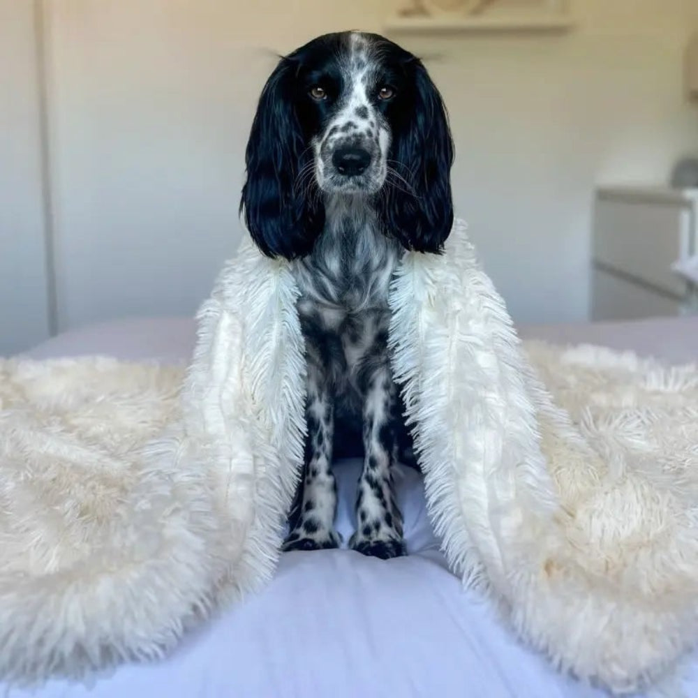 Fluffy Calming Pet Blanket