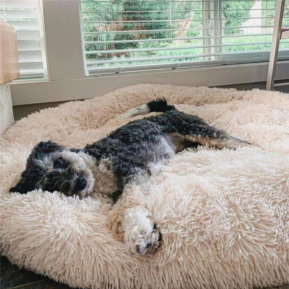 Calming Plush Dog Bed