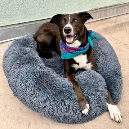 Calming Plush Dog Bed