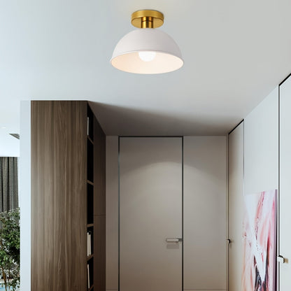 Matte Metal Semi-Flush Ceiling Lamp