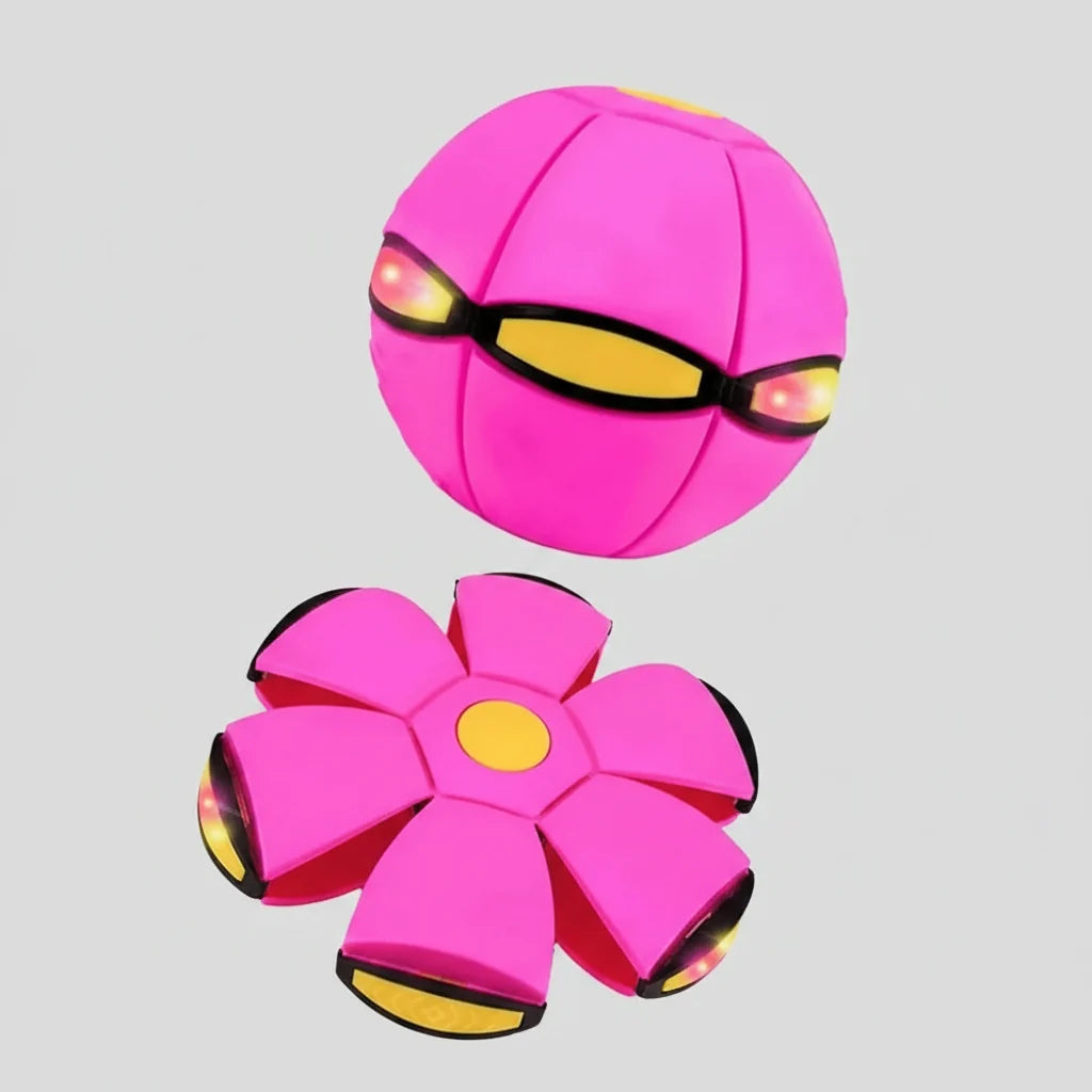 Light Up Bouncy Pet Ball