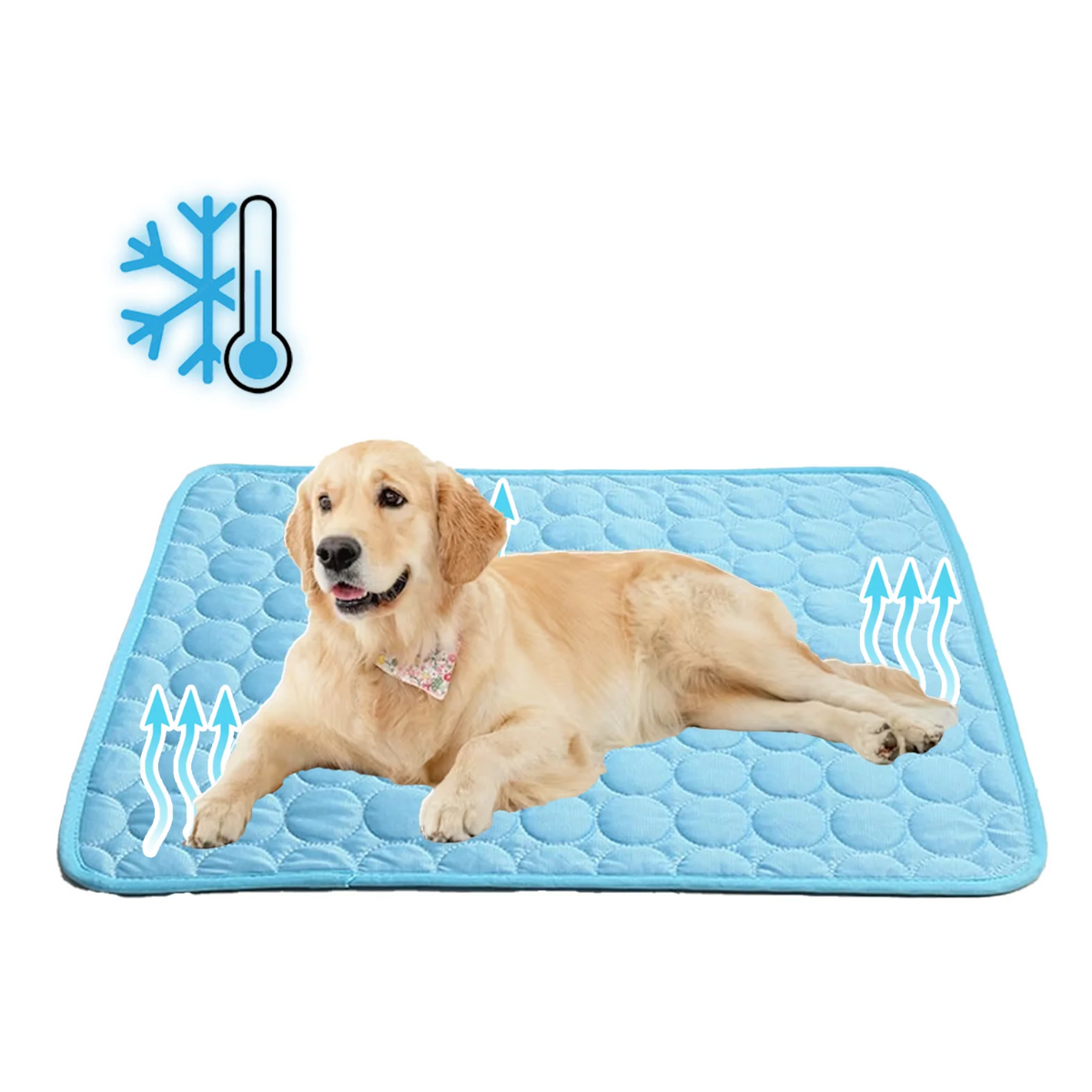 Self-Cooling Pet Mat for Dogs