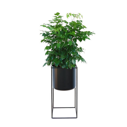 Black Rectangular Metal Plant Stand