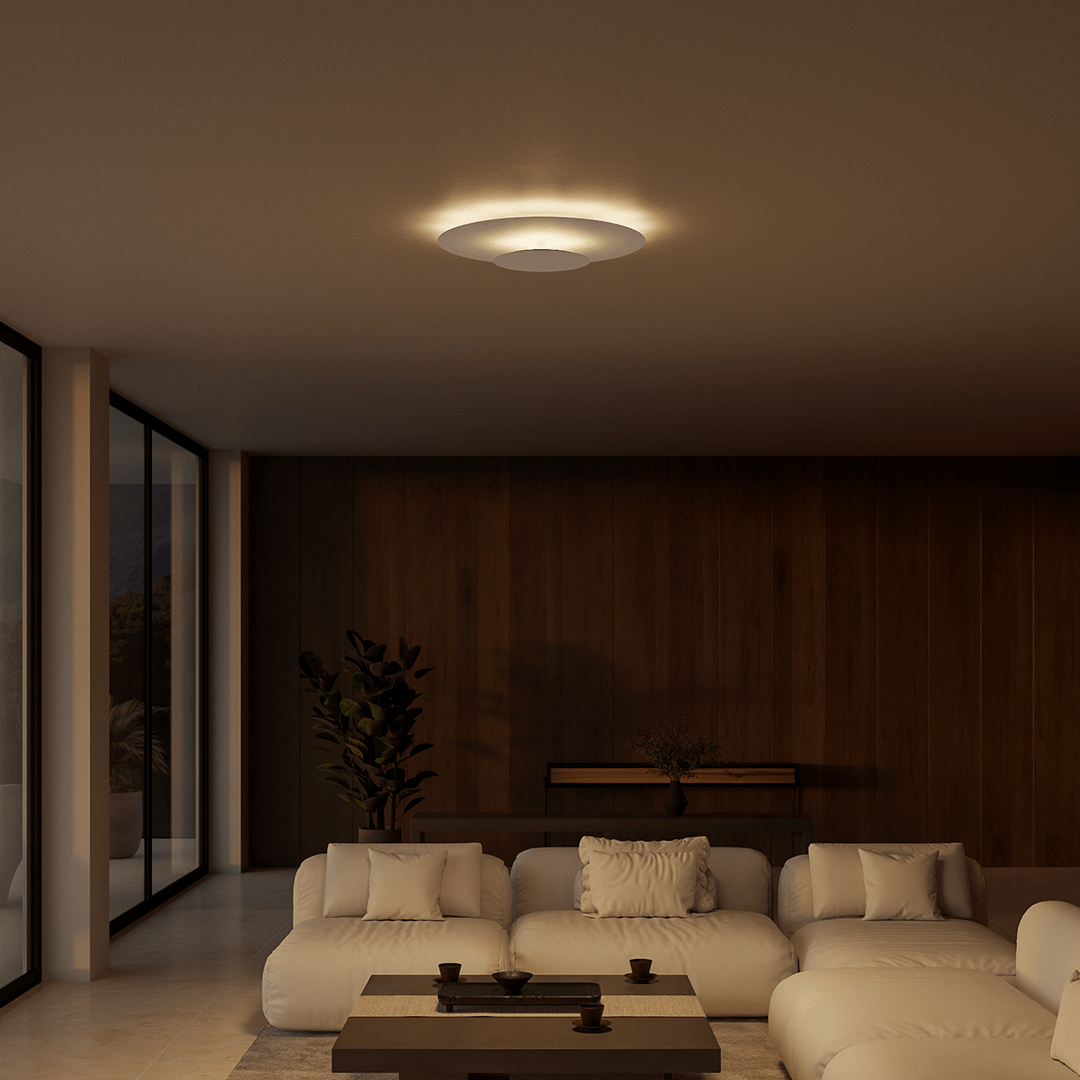 Slim LED Flush Mount Ceiling Light