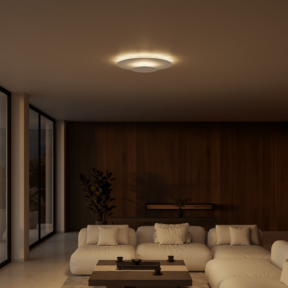 Slim LED Flush Mount Ceiling Light