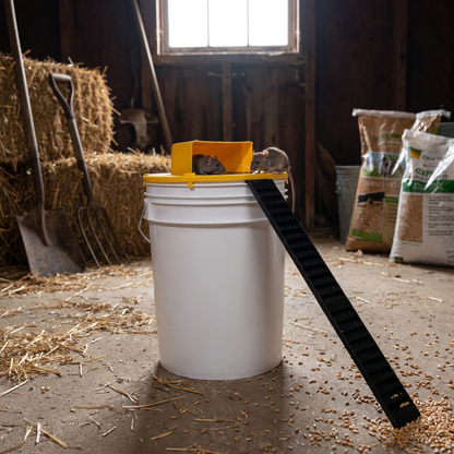 Bucket Mouse Trap Automatic Pest Control